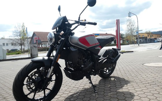Neufahrzeug Motobi DL 125 Cafe Racer - Bild 7