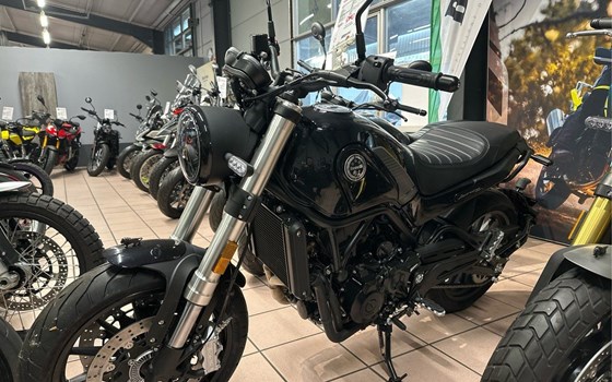 Neufahrzeug Benelli Leoncino 500 - Bild 1