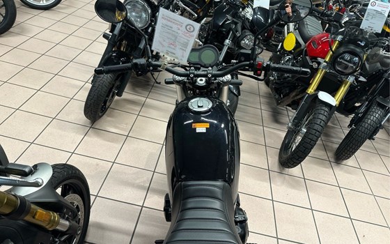 Neufahrzeug Benelli Leoncino 500 - Bild 10