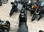 Angebot Benelli Leoncino 500