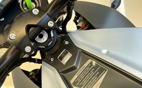 Motorrad Occasion Energica EVA EsseEsse9+ - Bild 13