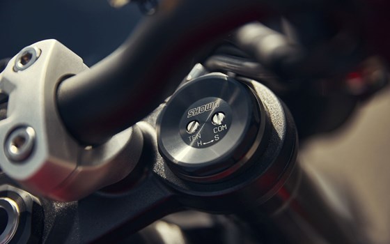 Neufahrzeug Triumph Street Triple 765 RS - Bild 10