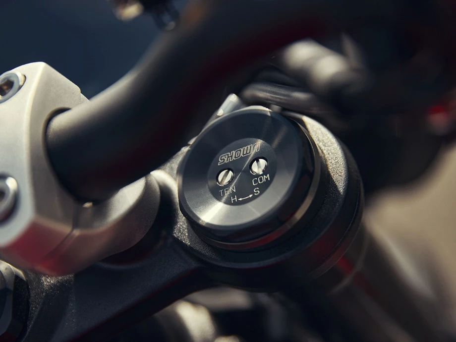 Angebot Triumph Street Triple 765 RS Bild 10: Angebot Triumph Street Triple 765 RS