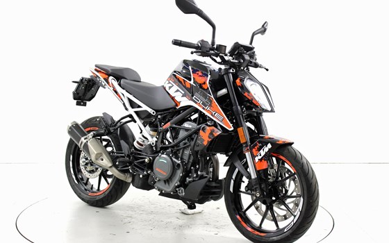 Neufahrzeug KTM 390 Duke - Bild 2