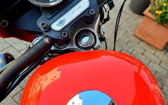Gebrauchtmotorrad Harley-Davidson Sportster XL 883 R Roadster - Bild 5