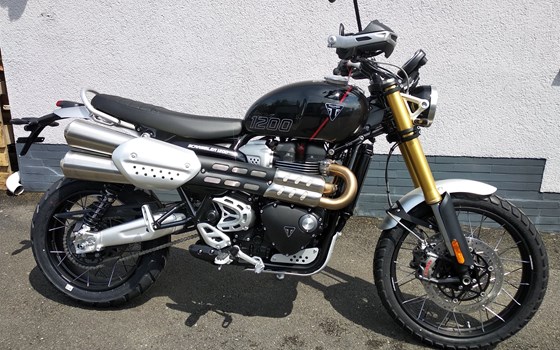 Neufahrzeug Triumph Scrambler 1200 XE - Bild 3