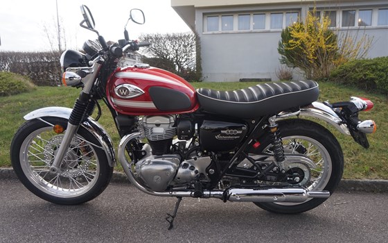 Motorrad Occasion Kawasaki W800 - Bild 1