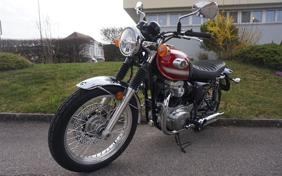 Motorrad Occasion Kawasaki W800 - Bild 2