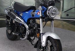 Neumotorrad Honda Dax 125
