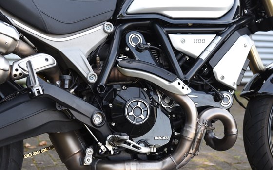 Gebrauchtmotorrad Ducati Scrambler 1100 - Bild 4