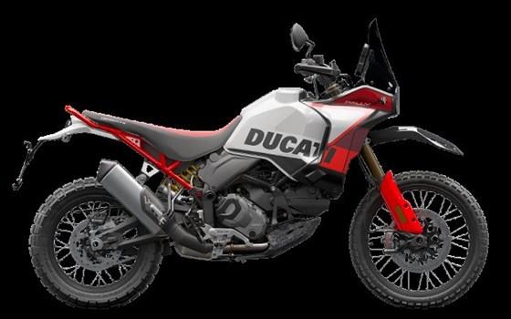 Neufahrzeug Ducati DesertX Rally - Bild 5 Neufahrzeug Ducati DesertX Rally - Bild 5