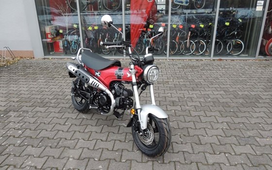 Neufahrzeug Honda Dax 125 - Bild 2