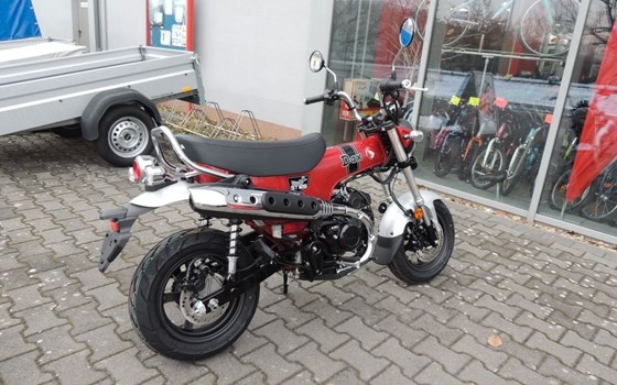 Neufahrzeug Honda Dax 125 - Bild 8
