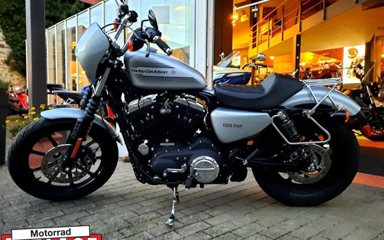 Gebrauchtmotorrad Harley-Davidson Sportster XL 1200NS Iron - Bild 3