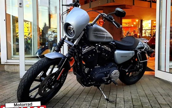 Gebrauchtmotorrad Harley-Davidson Sportster XL 1200NS Iron - Bild 4