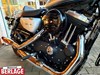 Harley-Davidson Sportster XL 1200NS Iron 48