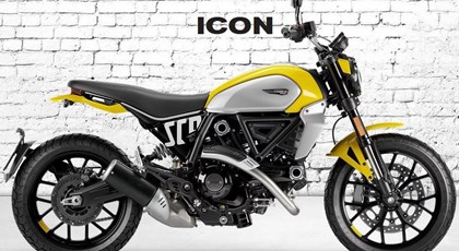 Neumotorrad Ducati Scrambler Icon