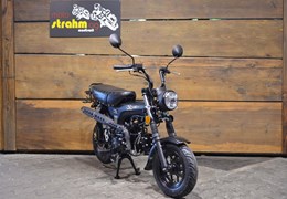 Neumotorrad Skyteam Skymax 125