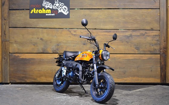 Neufahrzeug Skyteam SkyMini 125 - Bild 2