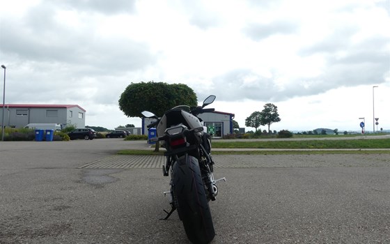 Neufahrzeug Suzuki GSX-8R - Bild 23