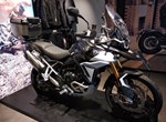 Angebot Triumph Tiger 900 Rally Pro