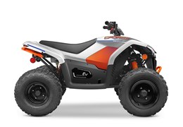 Neumotorrad CFMOTO CFORCE EV110
