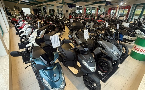 Neufahrzeug Peugeot Kisbee 50 4T - Bild 14