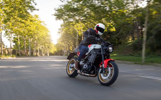 Neufahrzeug Yamaha XSR900 - Bild 3