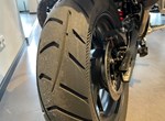 Angebot Triumph Tiger 900 GT Pro