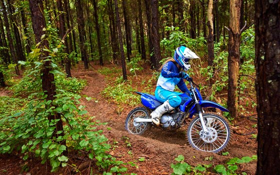 Neufahrzeug Yamaha TT R125 LW / E - Bild 3