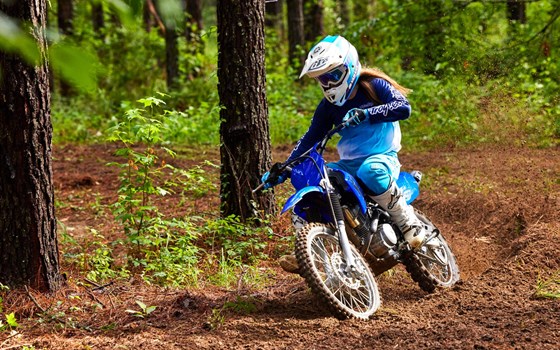 Neufahrzeug Yamaha TT R125 LW / E - Bild 4