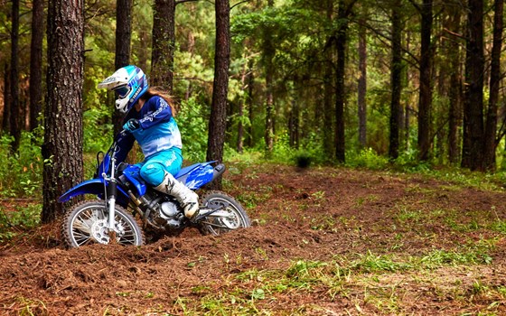 Neufahrzeug Yamaha TT R125 LW / E - Bild 6