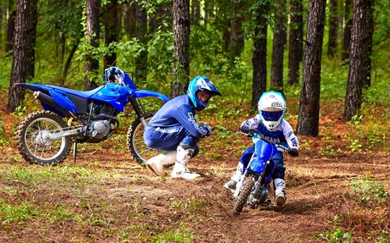 Neufahrzeug Yamaha TT-R50E - Bild 2