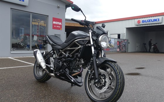 Neufahrzeug Suzuki SV650 - Bild 2