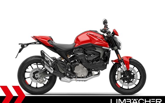 Neufahrzeug Ducati Monster + - Bild 1