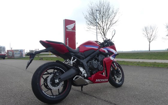Neufahrzeug Honda CBR650R E-Clutch - Bild 1
