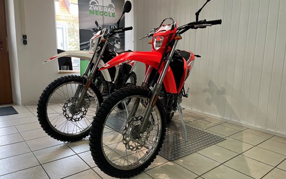 Neufahrzeug Beta RR 50 - Bild 4