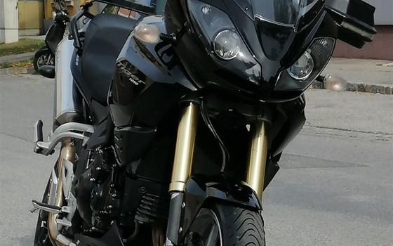 Gebrauchtmotorrad Triumph Tiger 1050 SE - Bild 1