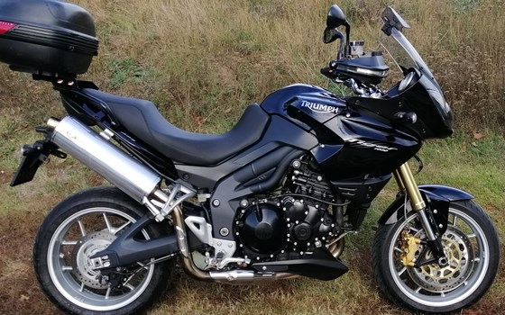 Gebrauchtmotorrad Triumph Tiger 1050 SE - Bild 3