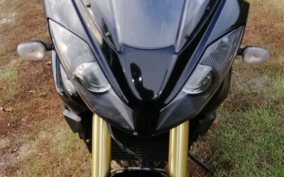 Gebrauchtmotorrad Triumph Tiger 1050 SE - Bild 9