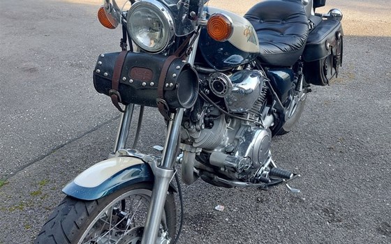 Gebrauchtmotorrad Yamaha Virago XV 1000 - Bild 3 Gebrauchtmotorrad Yamaha Virago XV 1000 - Bild 3