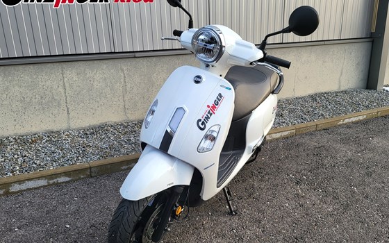 Neufahrzeug Sym Fiddle 125 ABS E5 - Bild 2 Neufahrzeug Sym Fiddle 125 ABS E5 - Bild 2