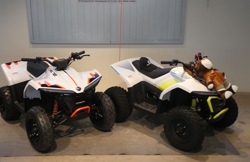 Neumotorrad CFMOTO CForce 110