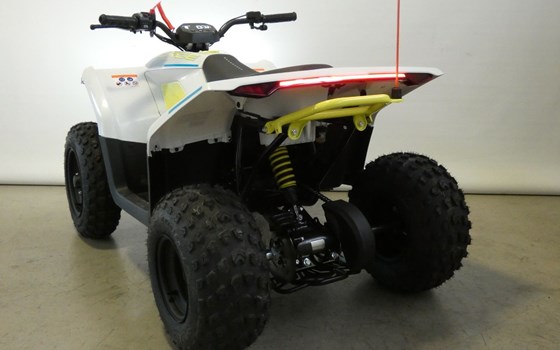 Neufahrzeug CFMOTO CForce 110 - Bild 10