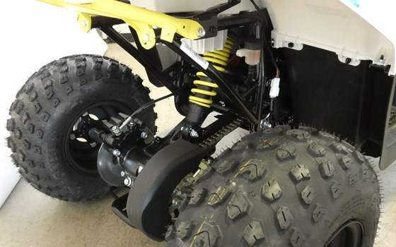 Neufahrzeug CFMOTO CForce 110 - Bild 14