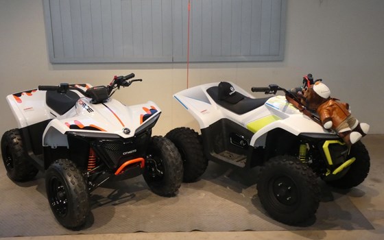 Neufahrzeug CFMOTO CForce 110 - Bild 2