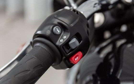 Neufahrzeug Triumph Bonneville T100 - Bild 11