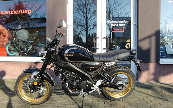 Neufahrzeug Yamaha XSR125 Legacy - Bild 8