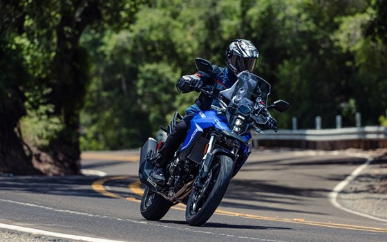 Neufahrzeug Suzuki V-Strom 800 - Bild 4