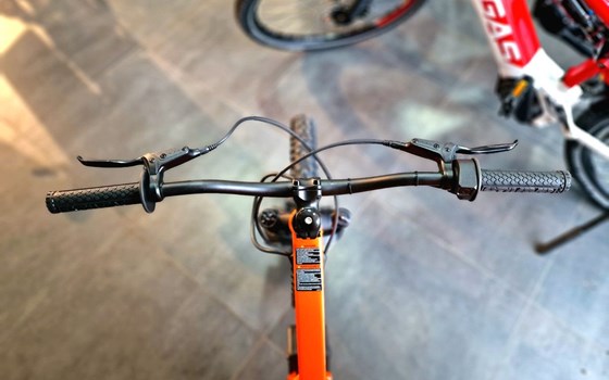Neufahrzeug KTM SX-E 1.20 - Bild 3